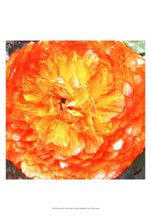 Framed Relatives II Print