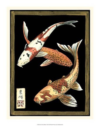 Framed Koi Fish on Black I Print