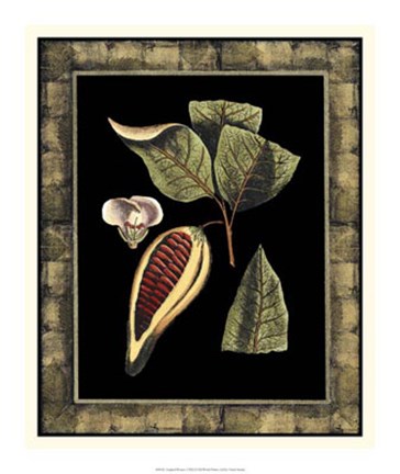 Framed Tropical Bounty I Print