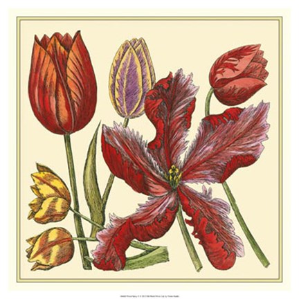 Framed Floral Spray V Print