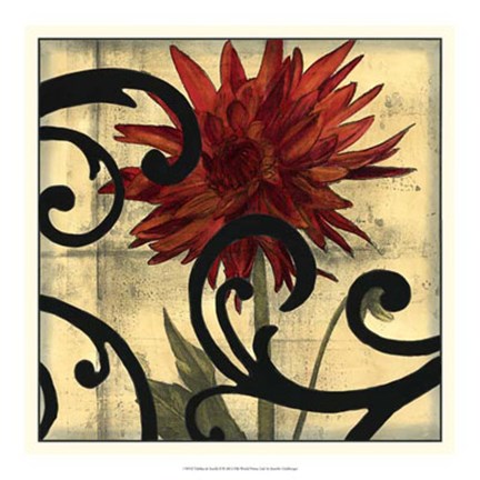 Framed Dahlias &amp; Scrolls II Print
