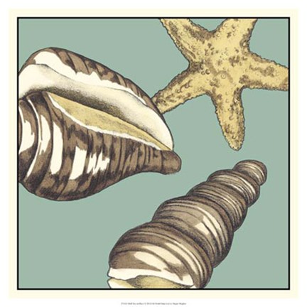 Framed Shell Trio on Blue I Print