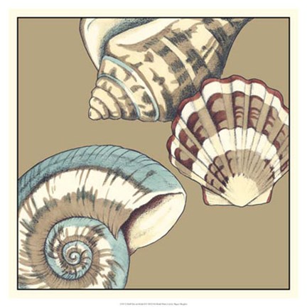Framed Shell Trio on Khaki II Print