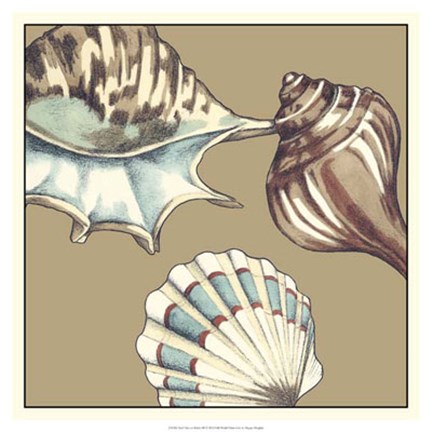 Framed Shell Trio on Khaki III Print