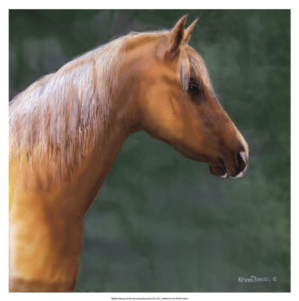 Framed Palomino Print