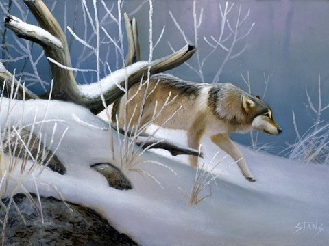 Framed Lone Wolf Print