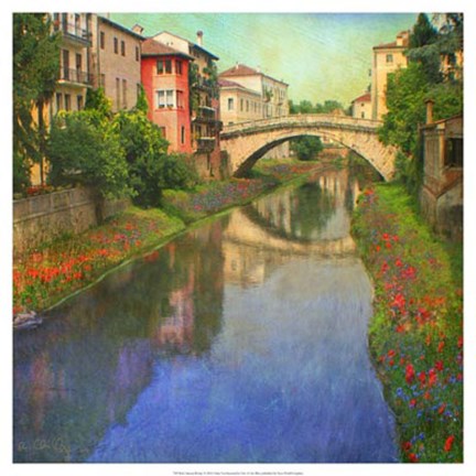 Framed Stream Bridge Print