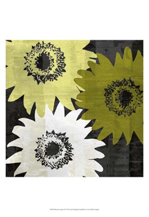 Framed Bloomer Squares II Print