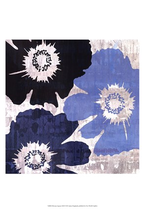 Framed Bloomer Squares XIII Print