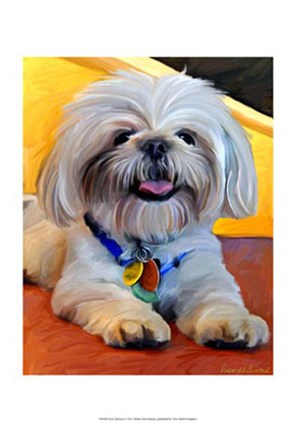 Framed New Shizzou Print