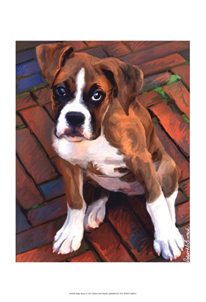 Framed Baby Boxer Print