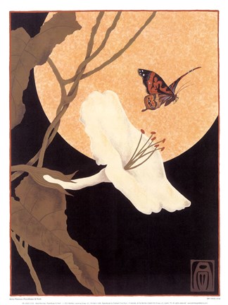 Framed Moonflower &amp; Moth Print
