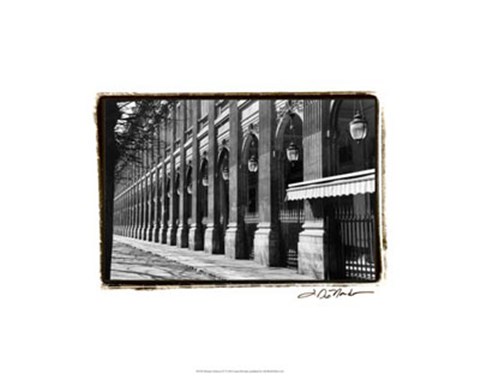 Framed Parisian Archways IV Print