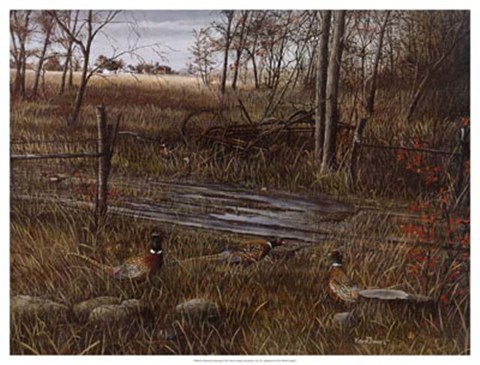 Framed Backroad Gathering Print