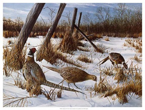 Framed Daybreak Print