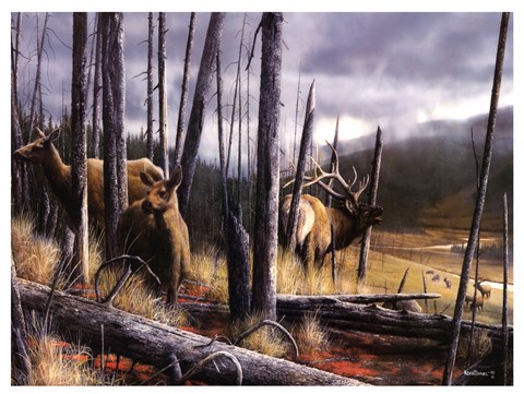 Framed Consequence of Time Print