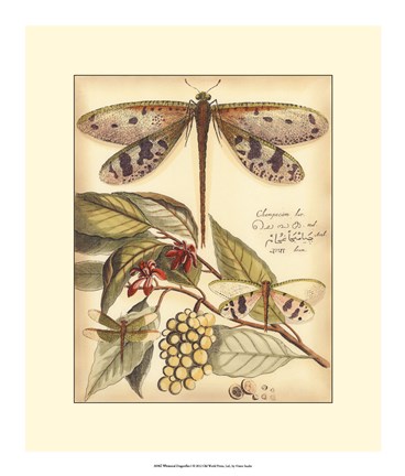 Framed Whimsical Dragonflies I Print