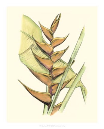 Framed Elegant Tropics III Print