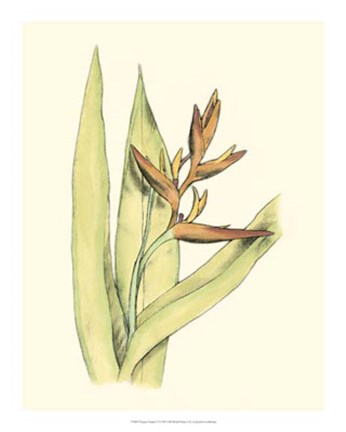 Framed Elegant Tropics V Print