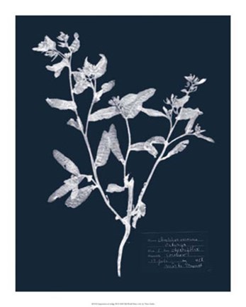 Framed Impressions on Indigo III Print