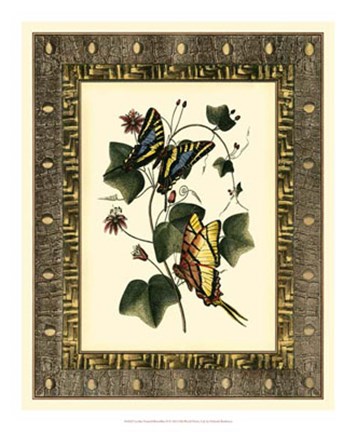 Framed Leather Framed Butterflies II Print