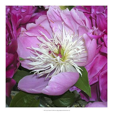 Framed June's Treasure II Print