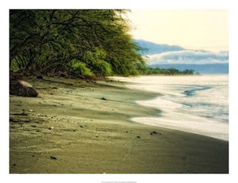 Framed Lonely Beach Print