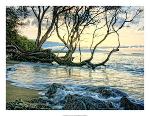 Framed Reaching for the Sea II Print