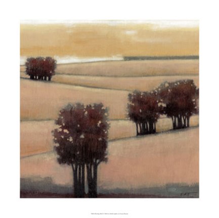 Framed Blushing Hills II Print