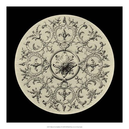 Framed Black &amp; Tan Medallion II Print