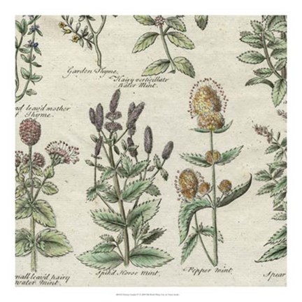 Framed Delicate Garden IV Print