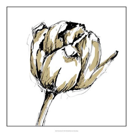 Framed Tulip Sketch II Print