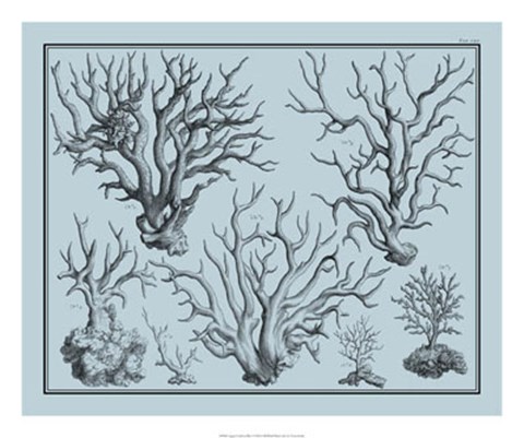 Framed Aegean Coral on Blue I Print