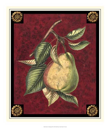 Framed Poire D&#39;Arenburg Print