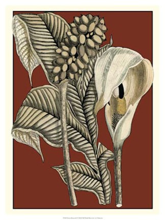 Framed Exotic Botanical I Print