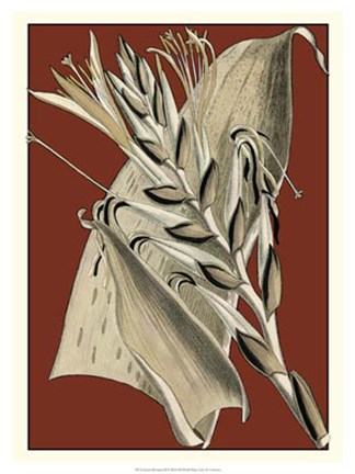Framed Exotic Botanical II Print
