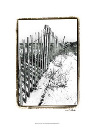 Framed Beach Scape II Print