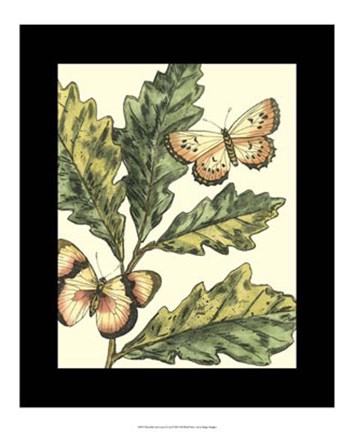 Framed Butterflies &amp; Leaves III Print