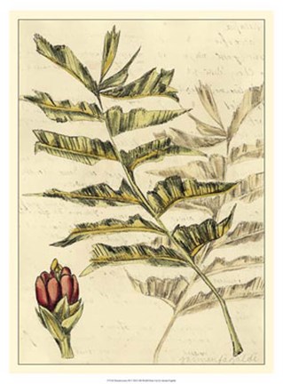 Framed Reminiscence III Print