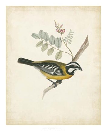 Framed Delicate Birds V Print