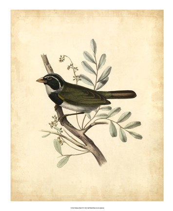 Framed Delicate Birds VI Print