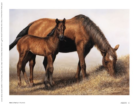 Framed Mare and Foal Print