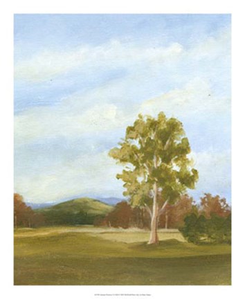 Framed Summer Horizons VI Print