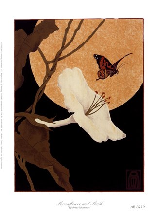 Framed Moonflower and Moth Print