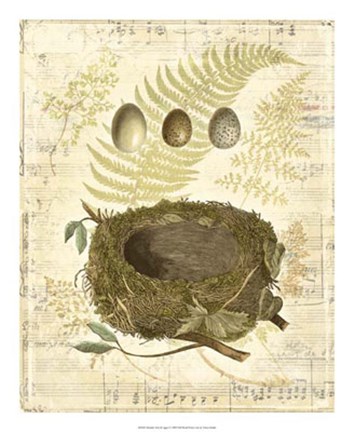 Framed Melodic Nest &amp; Eggs I Print