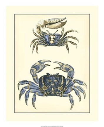 Framed Antique Blue Crabs II Print