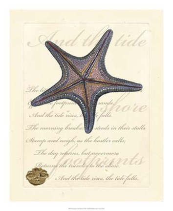 Framed Romance of the Shell II Print