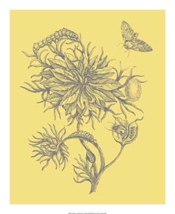 Framed Nature's Optimism II Print