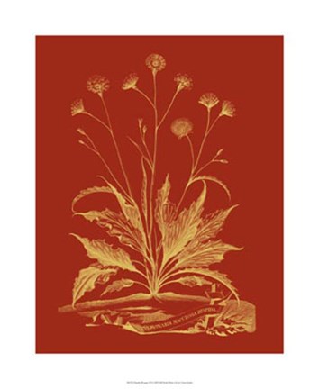 Framed Paprika Bouquet III Print