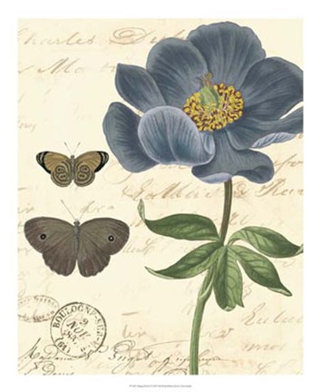 Framed Vintage Floral I Print